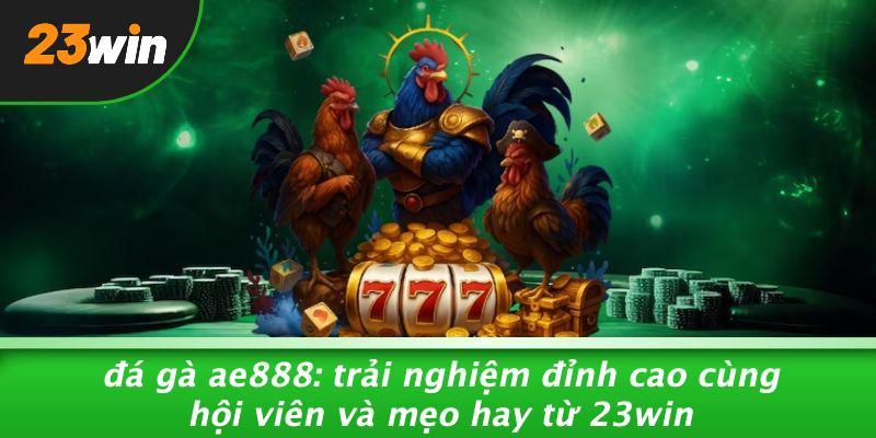 ĐÁ GÀ AE888: TRẢI NGHIỆM ĐỈNH CAO CÙNG HỘI VIÊN VÀ MẸO HAY TỪ 23WIN