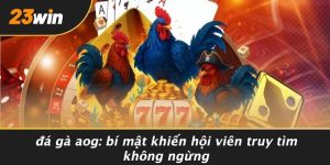 ĐÁ GÀ AOG: BÍ MẬT KHIẾN HỘI VIÊN TRUY TÌM KHÔNG NGỪNG