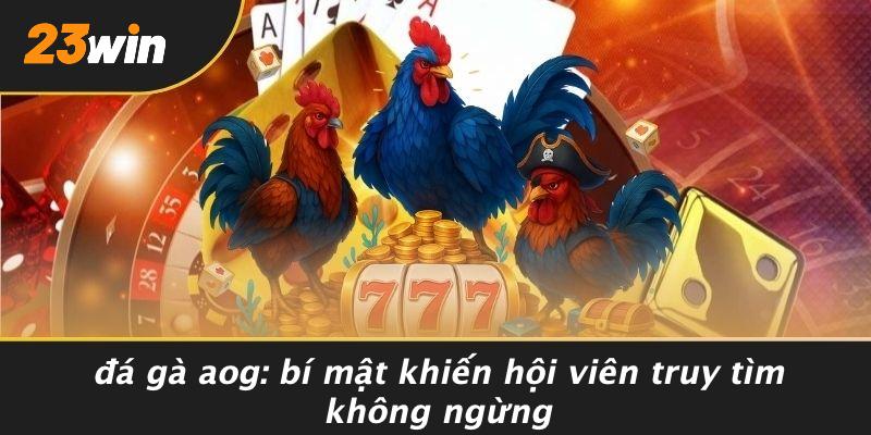 ĐÁ GÀ AOG: BÍ MẬT KHIẾN HỘI VIÊN TRUY TÌM KHÔNG NGỪNG