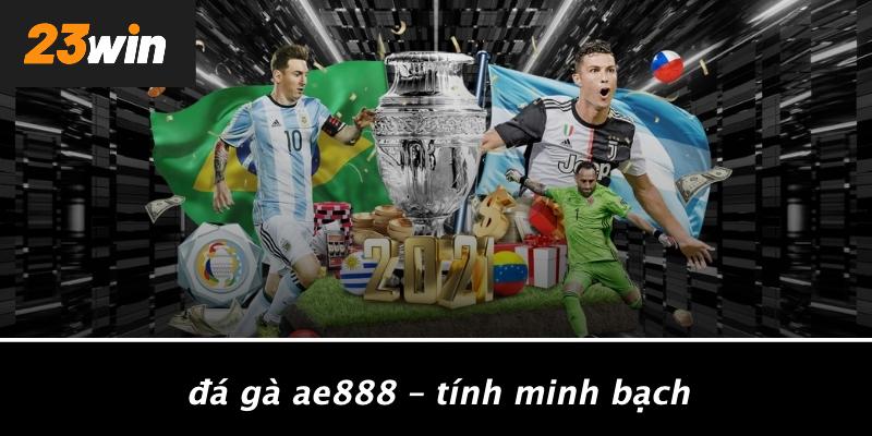 Đá gà ae888 – tính minh bạch