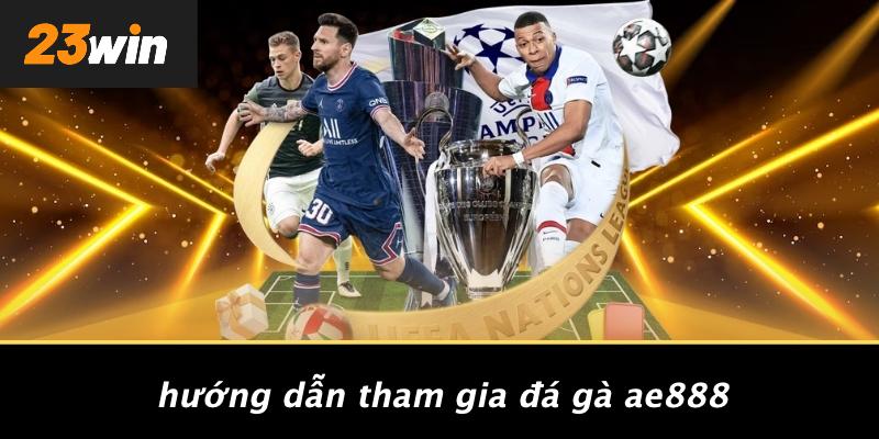 Hướng dẫn tham gia đá gà ae888