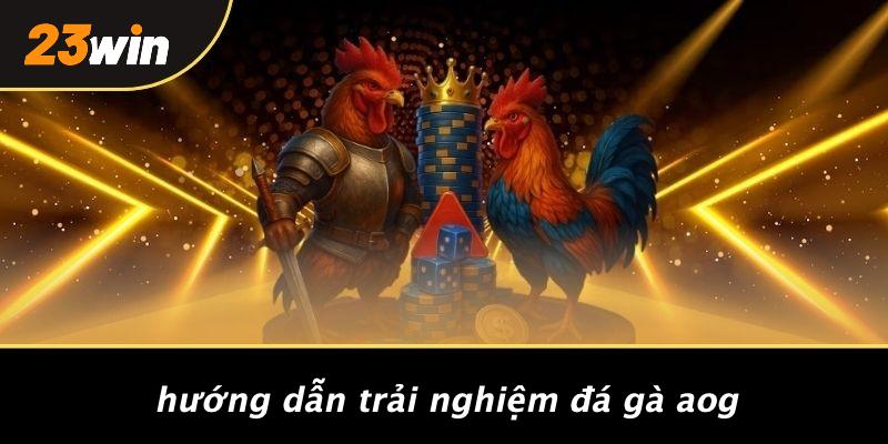 Hướng dẫn trải nghiệm đá gà aog