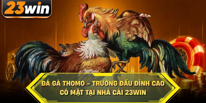 Đá Gà Thomo - Trường Đấu Đỉnh Cao Có Mặt Tại Nhà Cái 23WIN