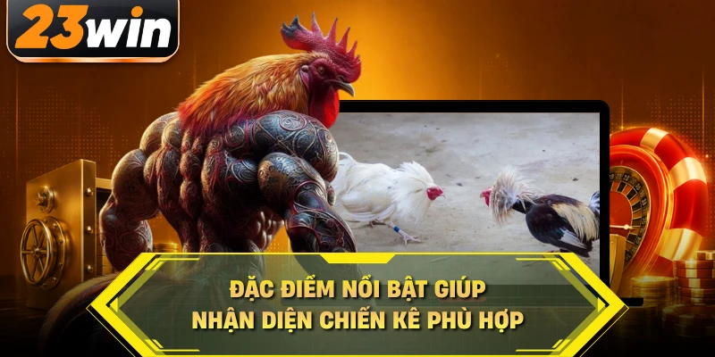Đặc điểm nổi bật giúp nhận diện chiến kê phù hợp
